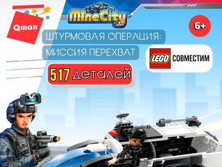 11014 Assault Manhunt operation 11014 Assault Manhunt operation